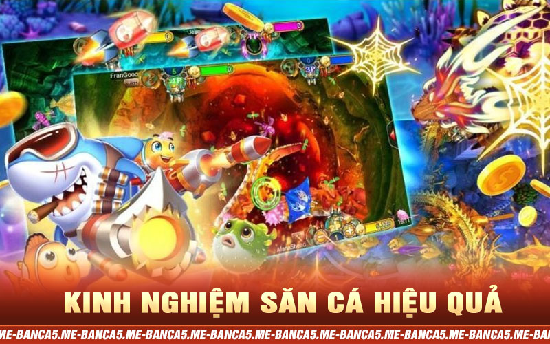 Kinh nghiệm săn cá hiệu quả