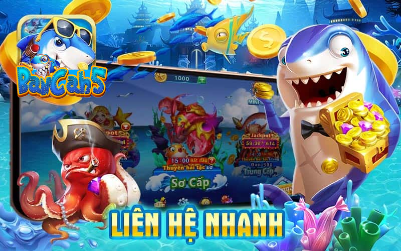 Liên hệ nhanh qua hệ thống CSKH của Bancah5 để được hỗ trọ sớm nhất