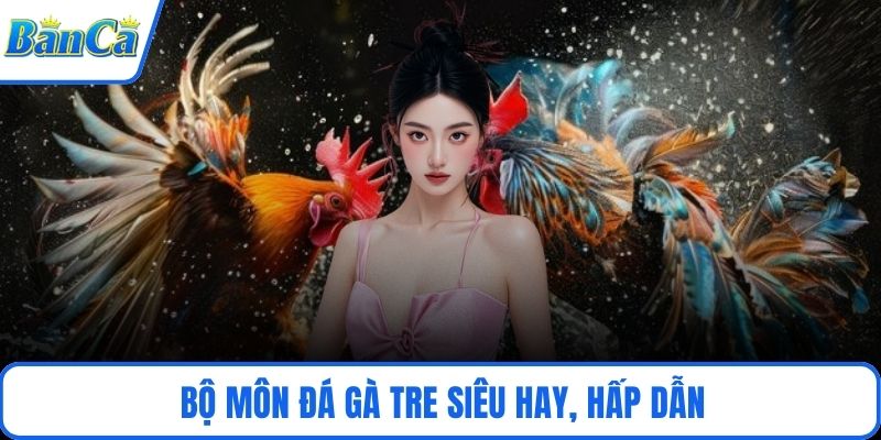 Bộ môn đá gà tre siêu hay, hấp dẫn