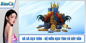 Đá gà cựa tròn