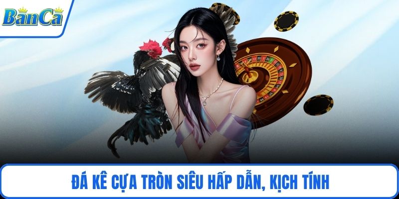 Đá kê cựa tròn siêu hấp dẫn, kịch tính