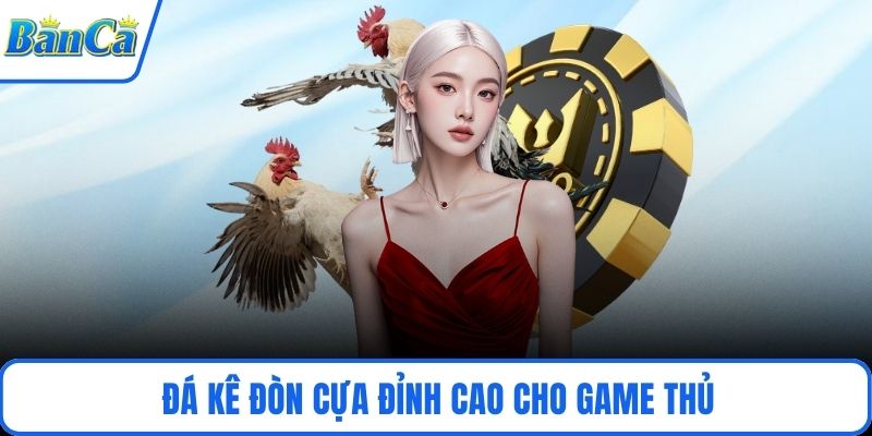 Đá kê đòn cựa đỉnh cao cho game thủ