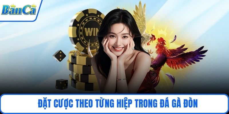 Đặt cược theo từng hiệp trong đá gà đòn