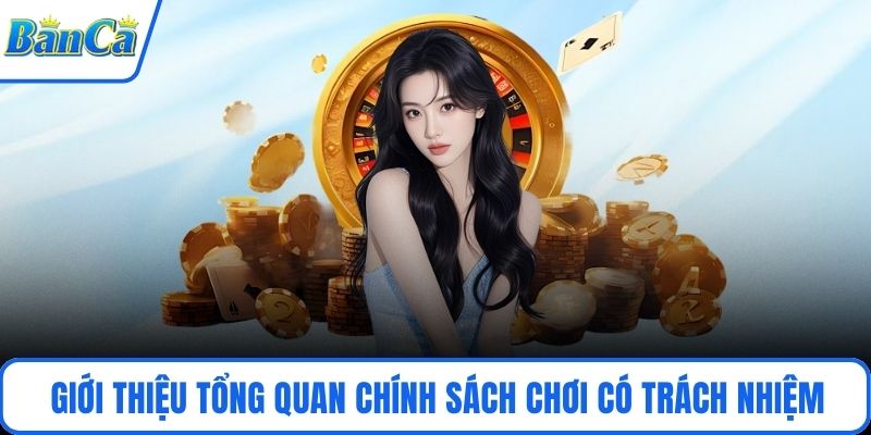 Giới thiệu tổng quan chính sách chơi có trách nhiệm