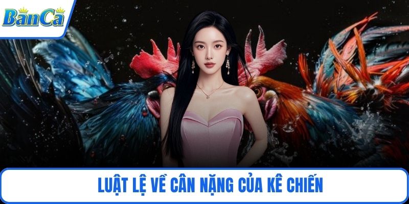Luật lệ về cân nặng của kê chiến