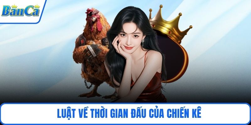 Luật về thời gian đấu của chiến kê