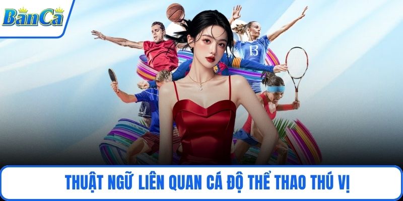 Thuật ngữ liên quan cá độ thể thao thú vị